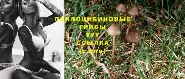 MDMA Premium VHQ Алзамай